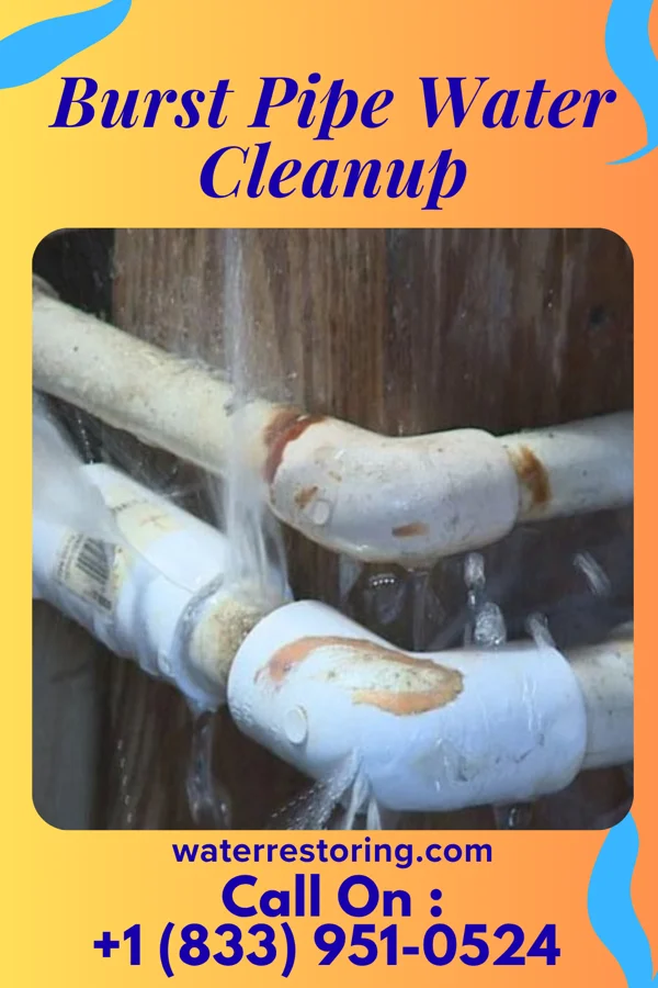 Burst Pipe Water Cleanup in Bunker Hill, IN