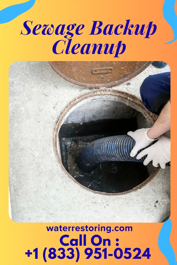Sewage Backup Cleanup in Bunker Hill, IN