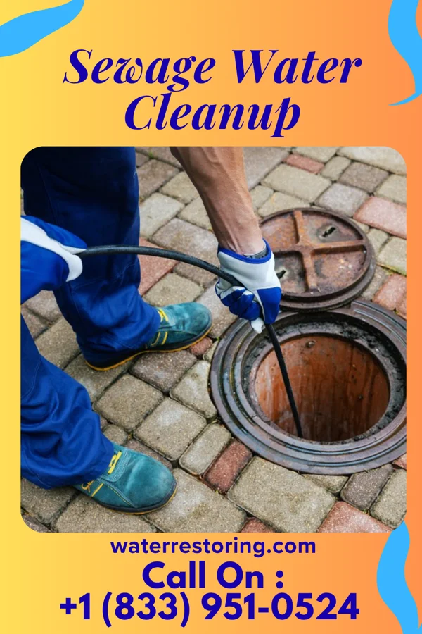 Sewage Water Cleanup in Bunker Hill, IN